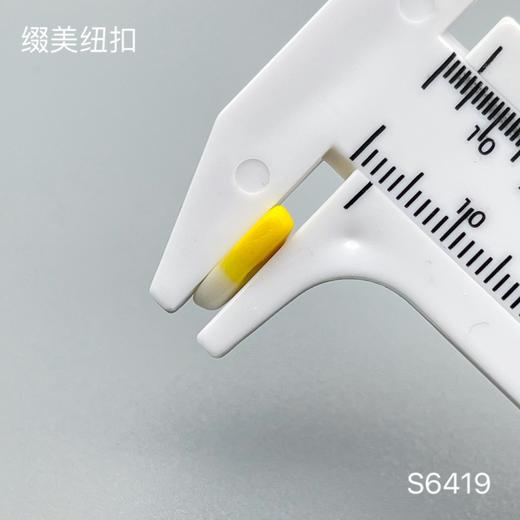 S6419(整包购买) 商品图2