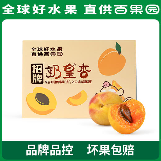 PAGODA百果园招牌-奶皇杏3斤礼盒装 商品图0
