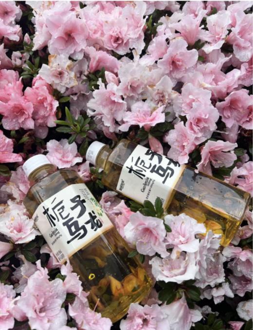 还原宋代点茶【生茶/栀子乌龙】比碳酸饮料健康 比白水解渴解腻 0糖0脂0卡 无负担 配料表干净 双口味可选 商品图1