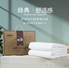 梦缘系列纯桑蚕丝被 AQPB 商品缩略图2