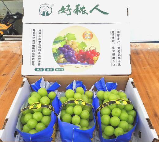 阳光玫瑰礼盒装 商品图0