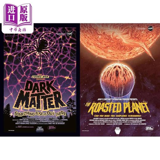 预售 【中商原版】Space Posters and Paintings: The Art That Inspired NASA 进口艺术 太空海报和绘画:启发NASA的艺术 商品图2