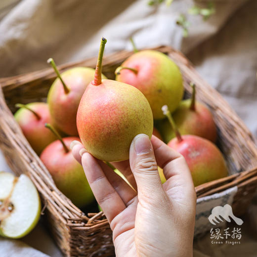 生态高原红云梨| 合作生产*Ecological plateau red cloud pear Partner Production 商品图3