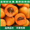 PAGODA百果园招牌-奶皇杏3斤礼盒装 商品缩略图4