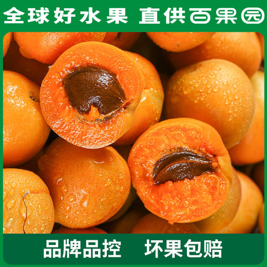 PAGODA百果园招牌-奶皇杏3斤礼盒装 商品图4