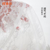 雅黛丽抹胸内搭防走光神器带胸垫一体式裹胸性感蕾丝小背心文胸 商品缩略图3