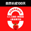 【一颗大™】红樱桃串番茄车厘串茄198g*4/6/8盒 商品缩略图2