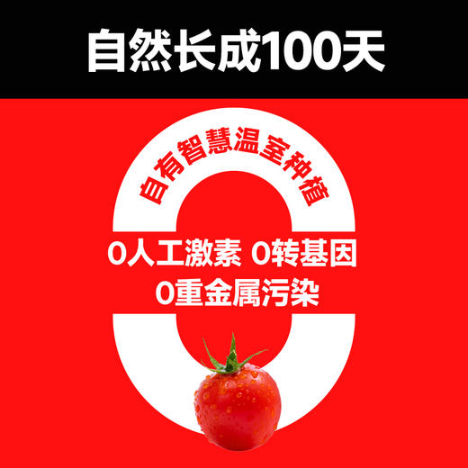 【一颗大™】红樱桃串番茄车厘串茄198g*4/6/8盒 商品图2