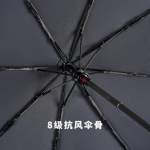 法国MC marieclaire男士男生全自动雨伞男折叠伞防雨伞高档商务伞 商品图7