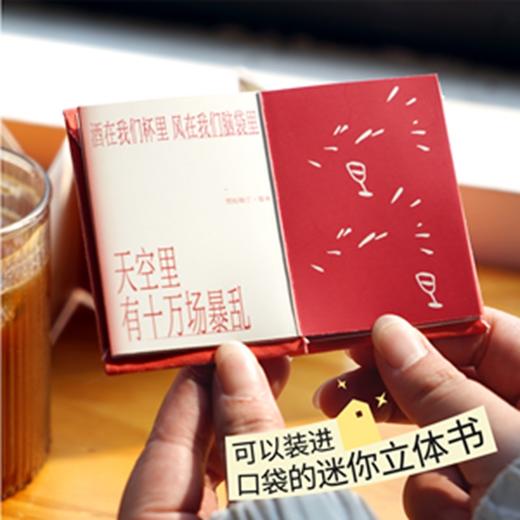 【预售】迷你立体书冰箱贴 文创磁吸贴 创意礼物 家居好物 伍尔夫一间只属于自己的房间 果麦文创 商品图2