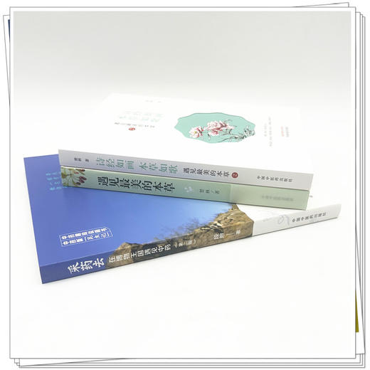 【全3册】采药去（第二版）+遇见最美的本草+诗经如画 本草如歌 段煦 著 中国中医药出版社 中药趣味说明书 商品图2