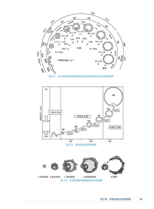 生殖内分泌学 第2版 附手术视频 陈子江 临床常见疾病热点问题 经典疾病机制诊疗规范 实用内分泌知识9787117362696人民卫生出版社 商品图3