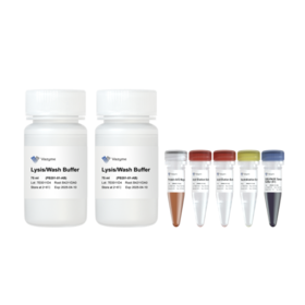 免疫(共)沉淀试剂盒(Protein A/G磁珠法)