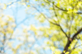 通过面相搞定婆媳关系