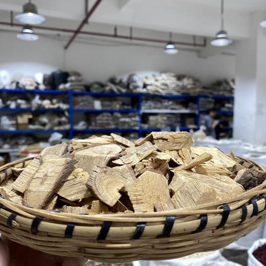 定心藤 商品图1