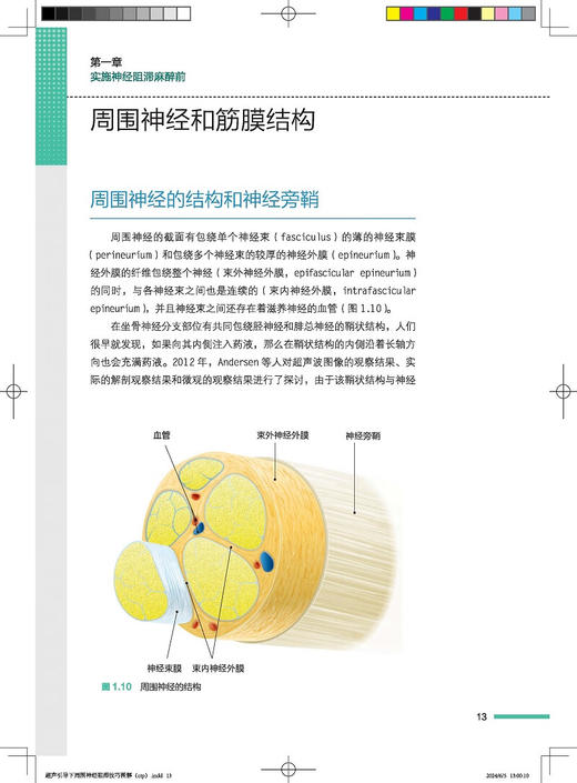 超声引导下周围神经阻滞技巧图解 附视频 仲西康显著 张锦 李涛主译 超声扫查技巧 穿刺阻滞方法 北京科学技术出版社9787571437329 商品图2