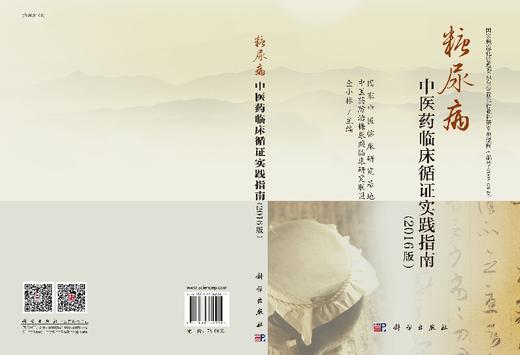 糖尿病中医药临床循证实践指南/仝小林 商品图3