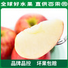 PAGODA百果园进口爱妃苹果（中）9粒礼盒装 商品缩略图2