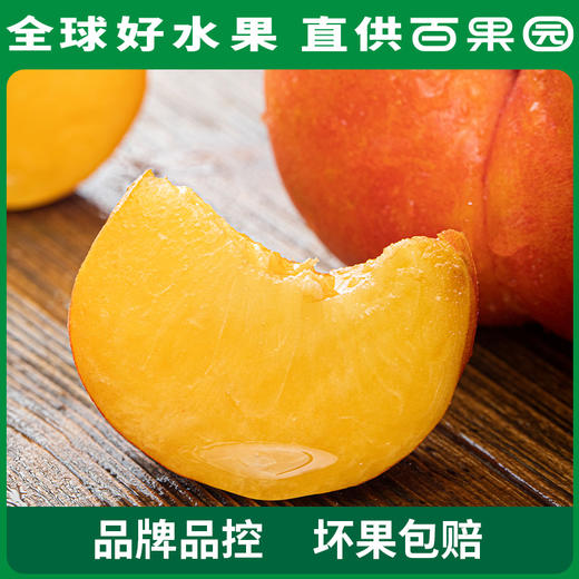 PAGODA百果园A级-黄油蟠桃9粒礼盒装 商品图1