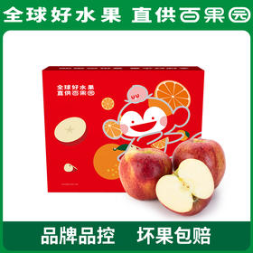 PAGODA百果园进口爱妃苹果（中）9粒礼盒装