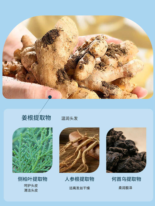 likefeel妮可绯亚洗发水 商品图4