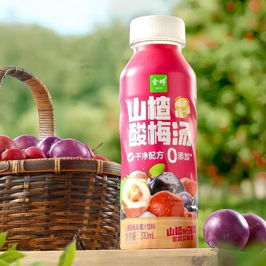 金晔山楂酸梅汤310ml 商品图0