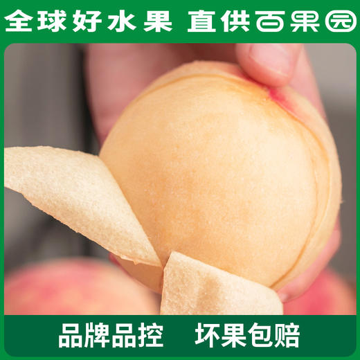 PAGODA百果园阳山水蜜桃6粒礼盒装（单果150g+） 商品图2