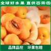 PAGODA百果园招牌-奶皇杏3斤礼盒装 商品缩略图5