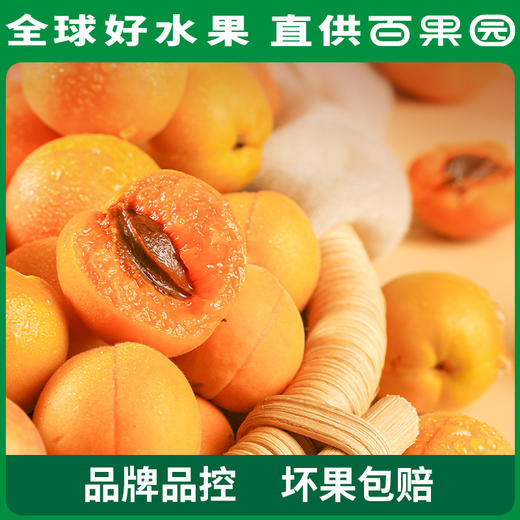 PAGODA百果园招牌-奶皇杏3斤礼盒装 商品图5