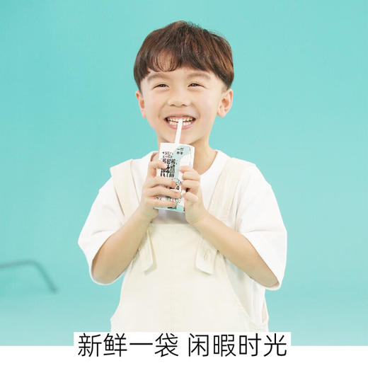 皇氏一只水牛纯牛奶（10瓶*200ml）下单即配送【仅限东莞林语花园、心语花园购买，可配送到家】 商品图2