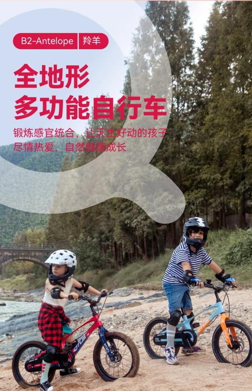 昆塔斯B2自行车 商品图2
