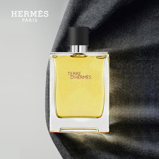 Hermes 爱马仕 大地男士木质淡香水EDT 100ml【有效期：2025年7月】 商品图1