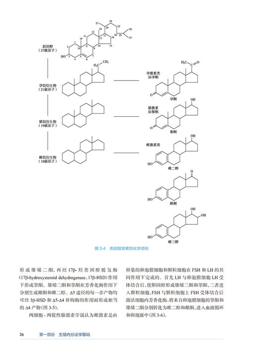 生殖内分泌学 第2版 附手术视频 陈子江 临床常见疾病热点问题 经典疾病机制诊疗规范 实用内分泌知识9787117362696人民卫生出版社 商品图4