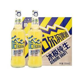 哈尔滨 玻璃瓶冰极纯生 550ml *12瓶