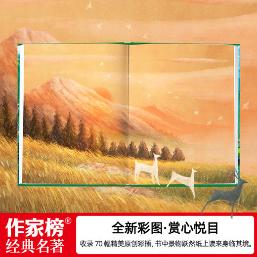 《夏日走过山间》|  与《瓦尔登湖》齐名 美国版《阿勒泰的角落》 商品图2