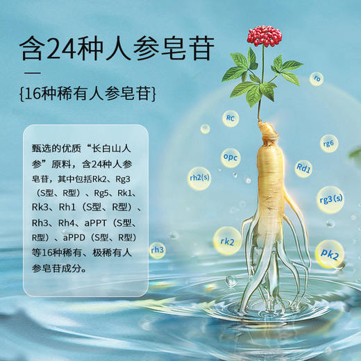 热售【梅兰竹菊活性参】长白山人参超低温真空冷冻干燥活性参 商品图5