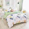 蜻蜓亲肤棉床上四件套小清新床上田园风床单被套学生宿舍-素雅 被套200*230cm 商品缩略图3