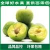 PAGODA百果园巫山脆李（特大）5斤彩箱装 商品缩略图6