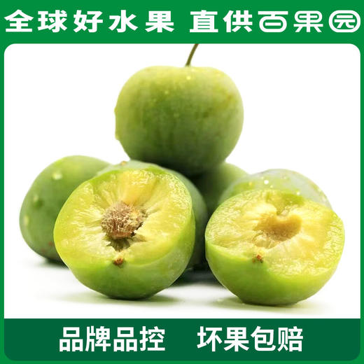 PAGODA百果园巫山脆李（特大）5斤彩箱装 商品图6