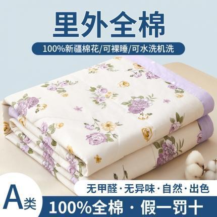 三泰龙 全棉夏凉被A类纯棉喷气新疆棉空调被单人可水洗夏凉被018 商品图5