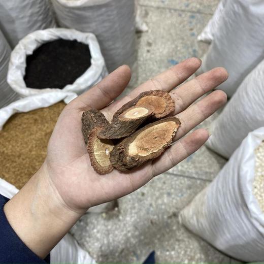 杨梅根 商品图4