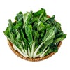 每日伊藤奶白菜400g 商品缩略图3