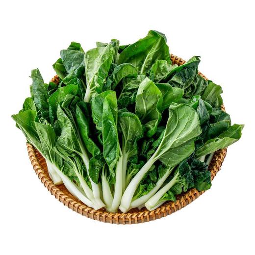 每日伊藤奶白菜400g 商品图3