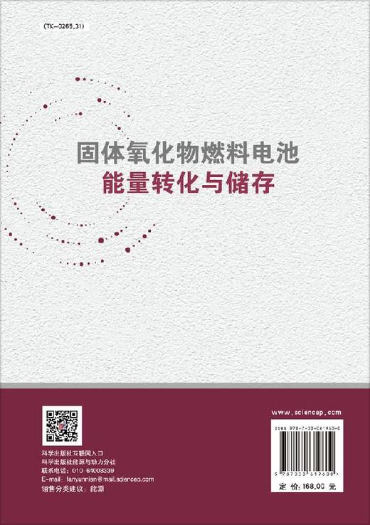 固体氧化物燃料电池能量转化与储存/史翊翔 蔡宁生 王雨晴 商品图1
