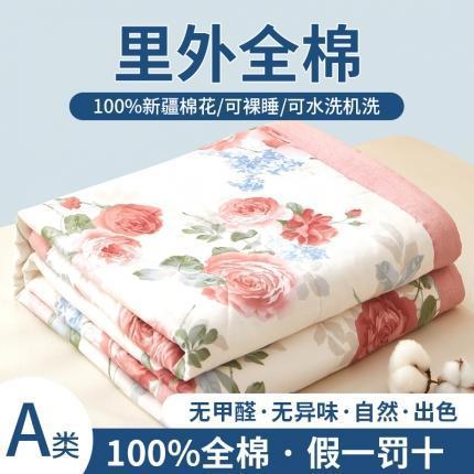 三泰龙 全棉夏凉被A类纯棉喷气新疆棉空调被单人可水洗夏凉被018 商品图12