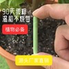 【一个月插1只】绿植肥懒人植物营养棒花家用花卉养花肥料氮磷通用型棒状盆栽缓释 商品缩略图0