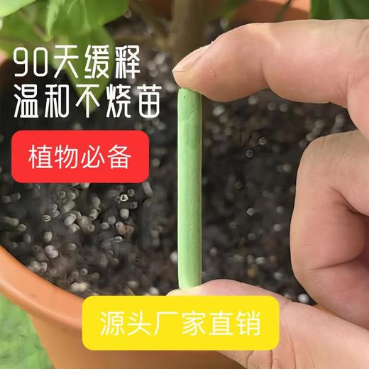 【一个月插1只】绿植肥懒人植物营养棒花家用花卉养花肥料氮磷通用型棒状盆栽缓释 商品图0