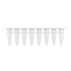 0.2 ml PCR 8联管（B款），含光学平盖，透明 商品缩略图0