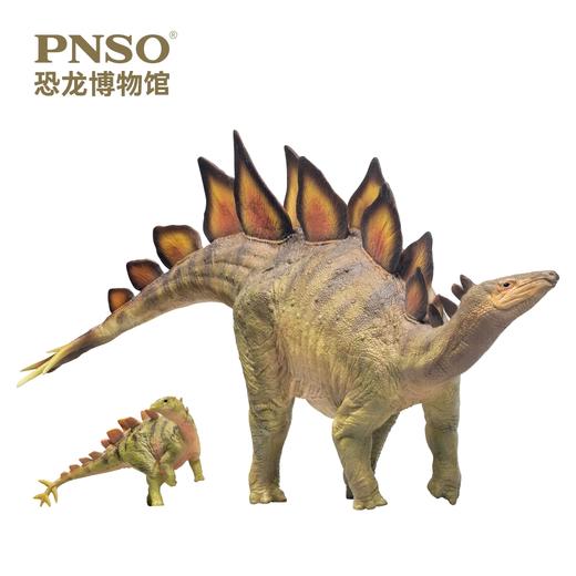 PNSO剑龙比伯和剑龙鲁克恐龙博物馆1比35科学艺术模型 商品图3