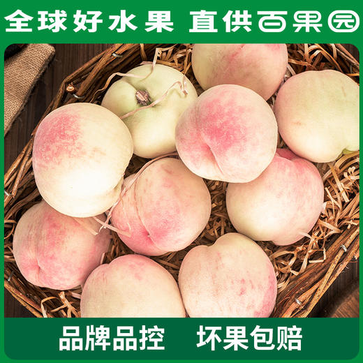 PAGODA百果园阳山水蜜桃6粒礼盒装（单果150g+） 商品图4